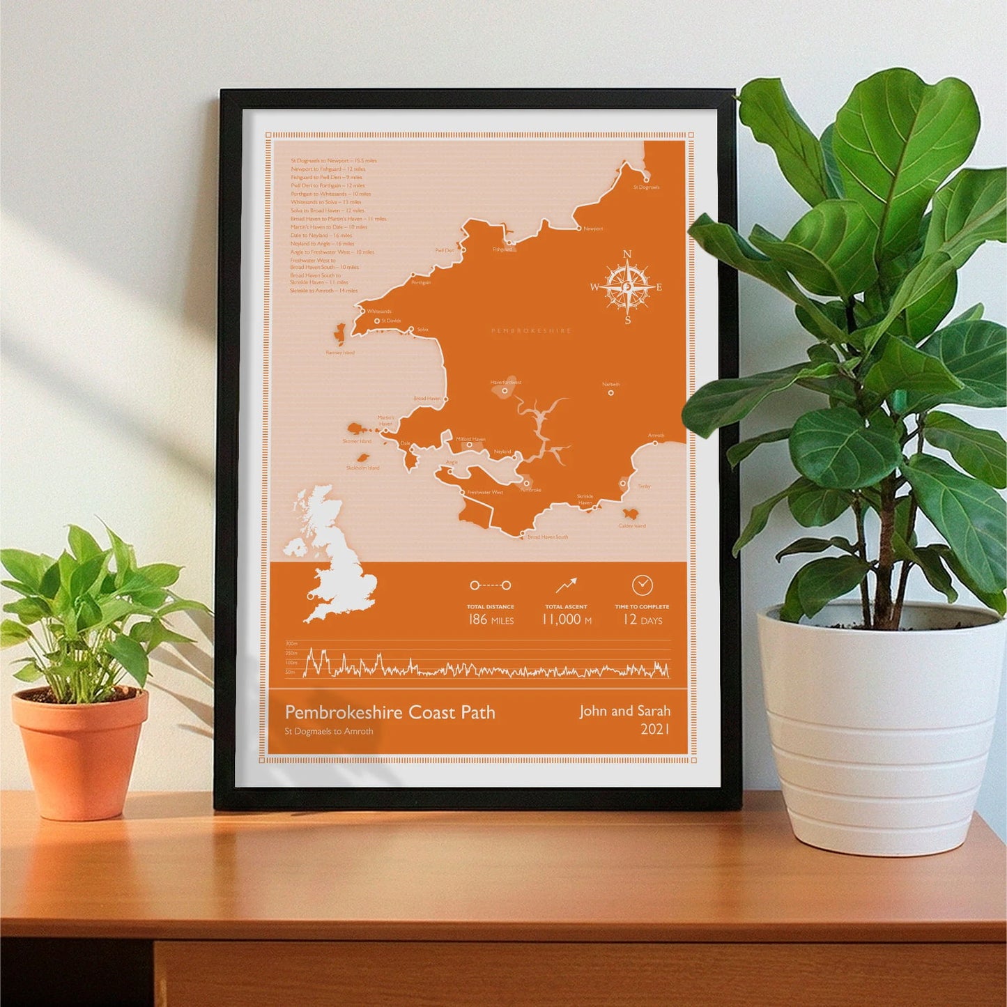 Framed print on sideboard beside a plant
