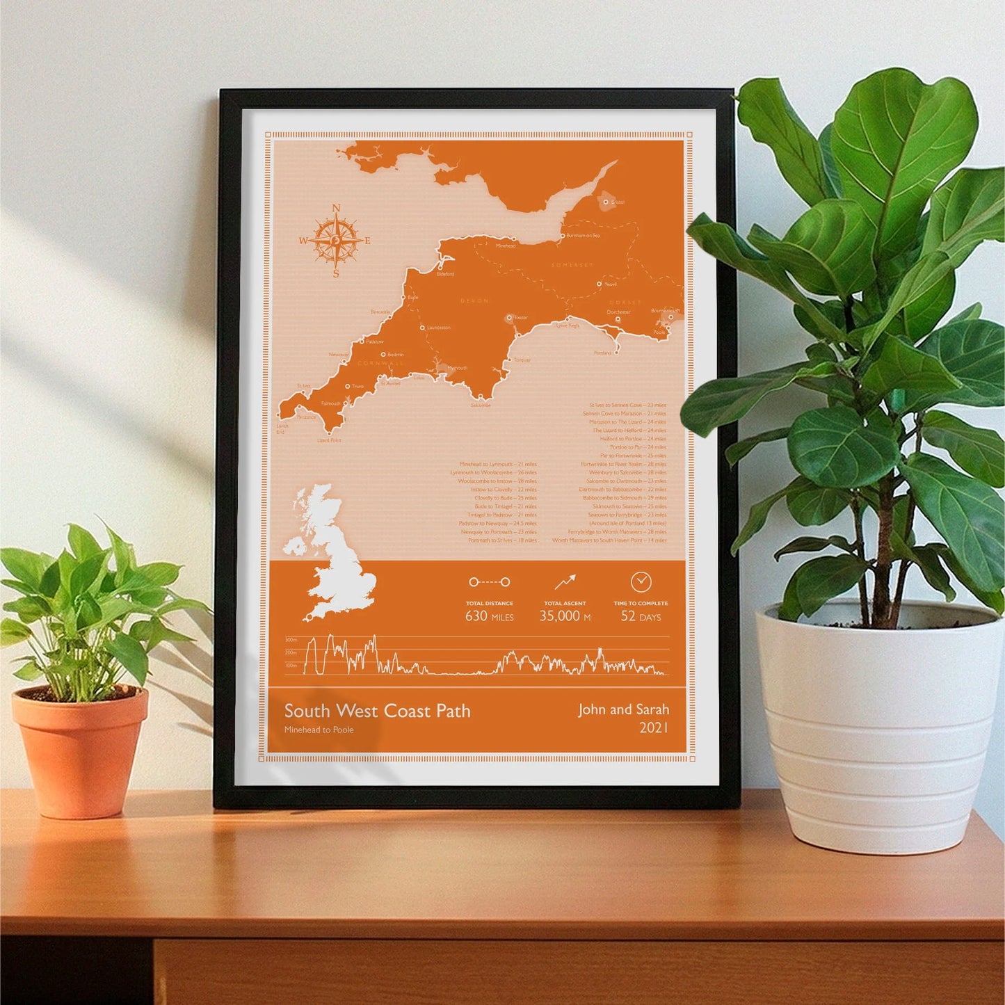 Framed print on sideboard beside a plant