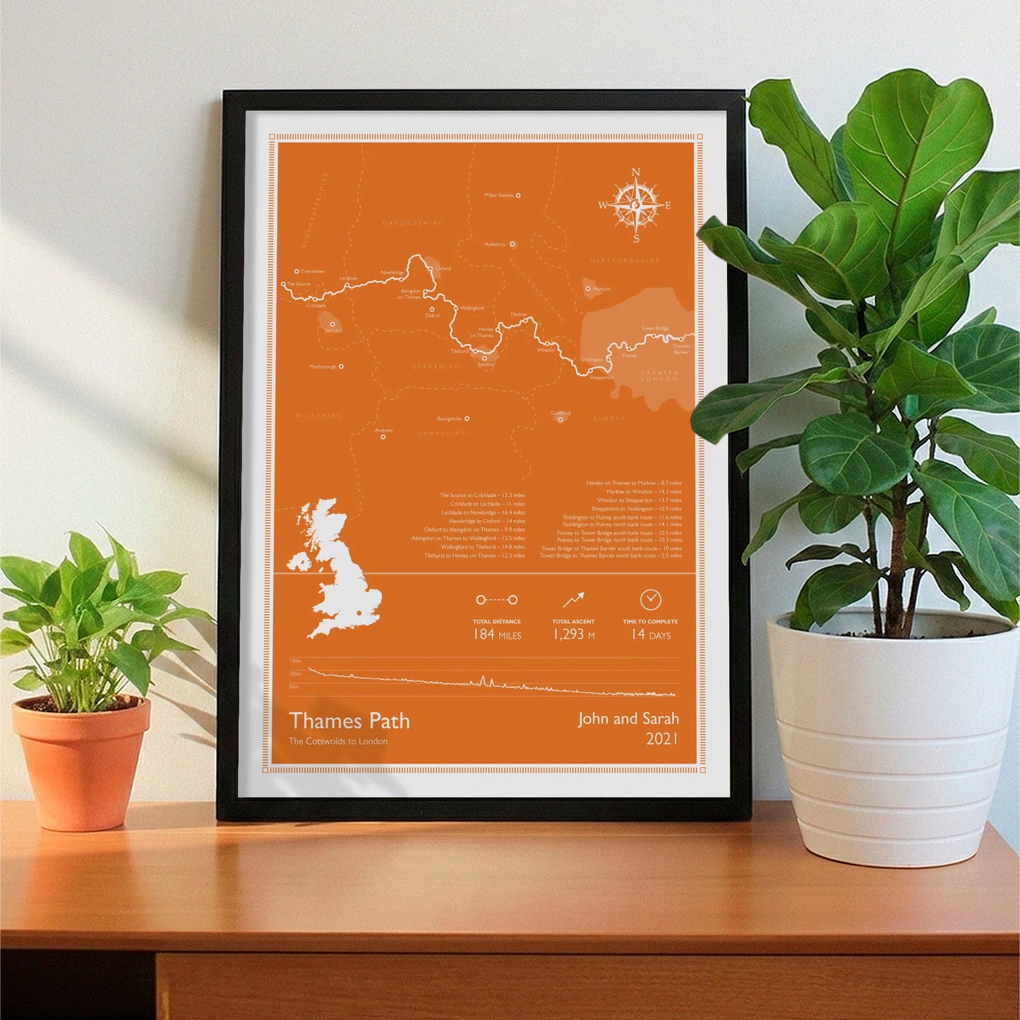 Framed print on sideboard beside a plant