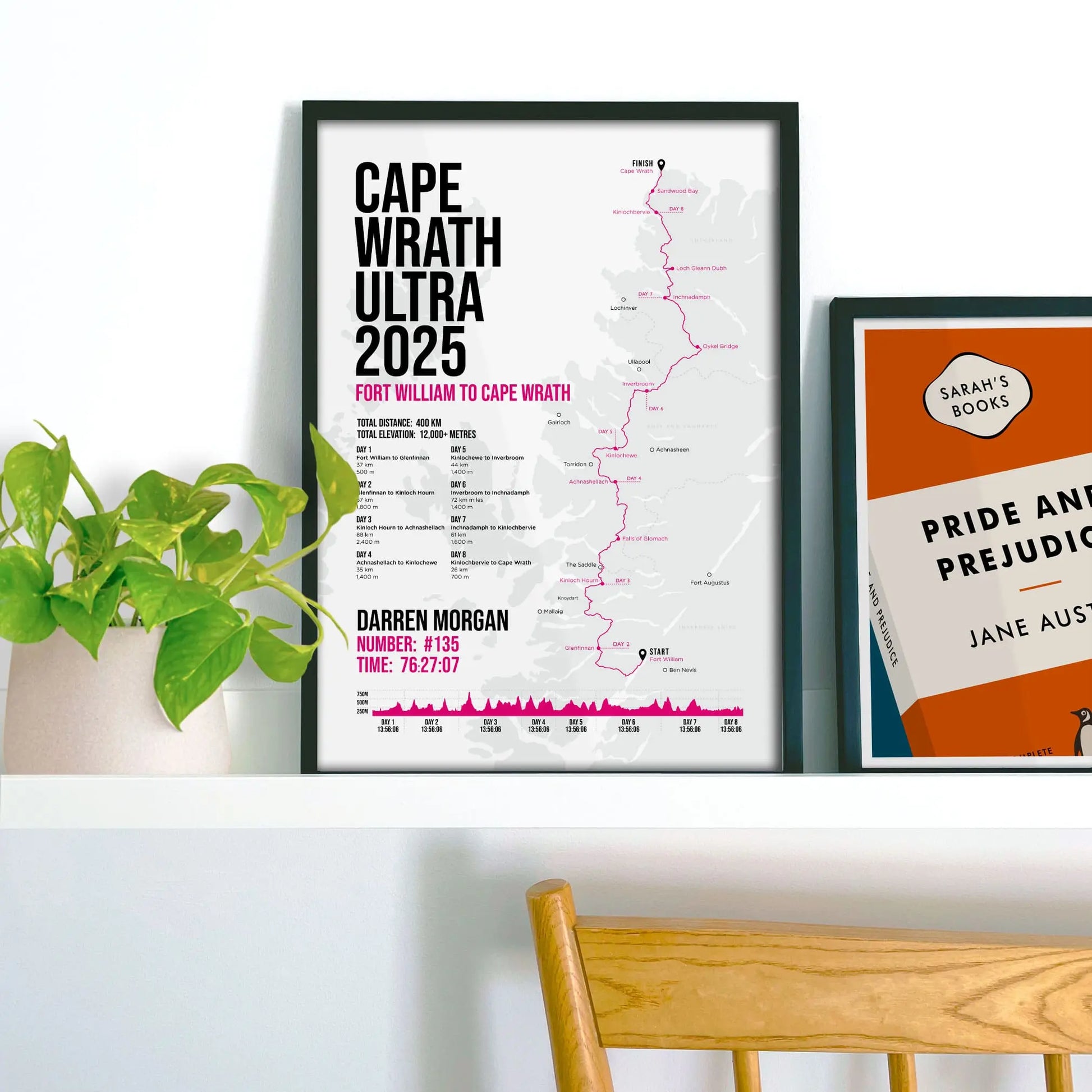 Framed print propped up on shelf beside a houseplant