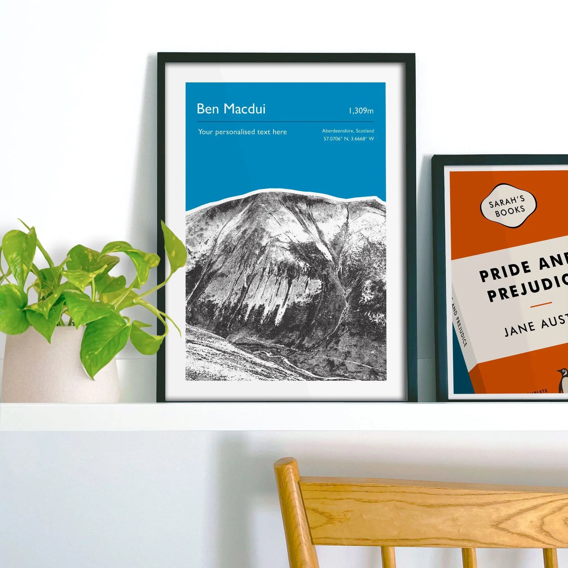 Framed picture on shelf beside a houseplant and another print.