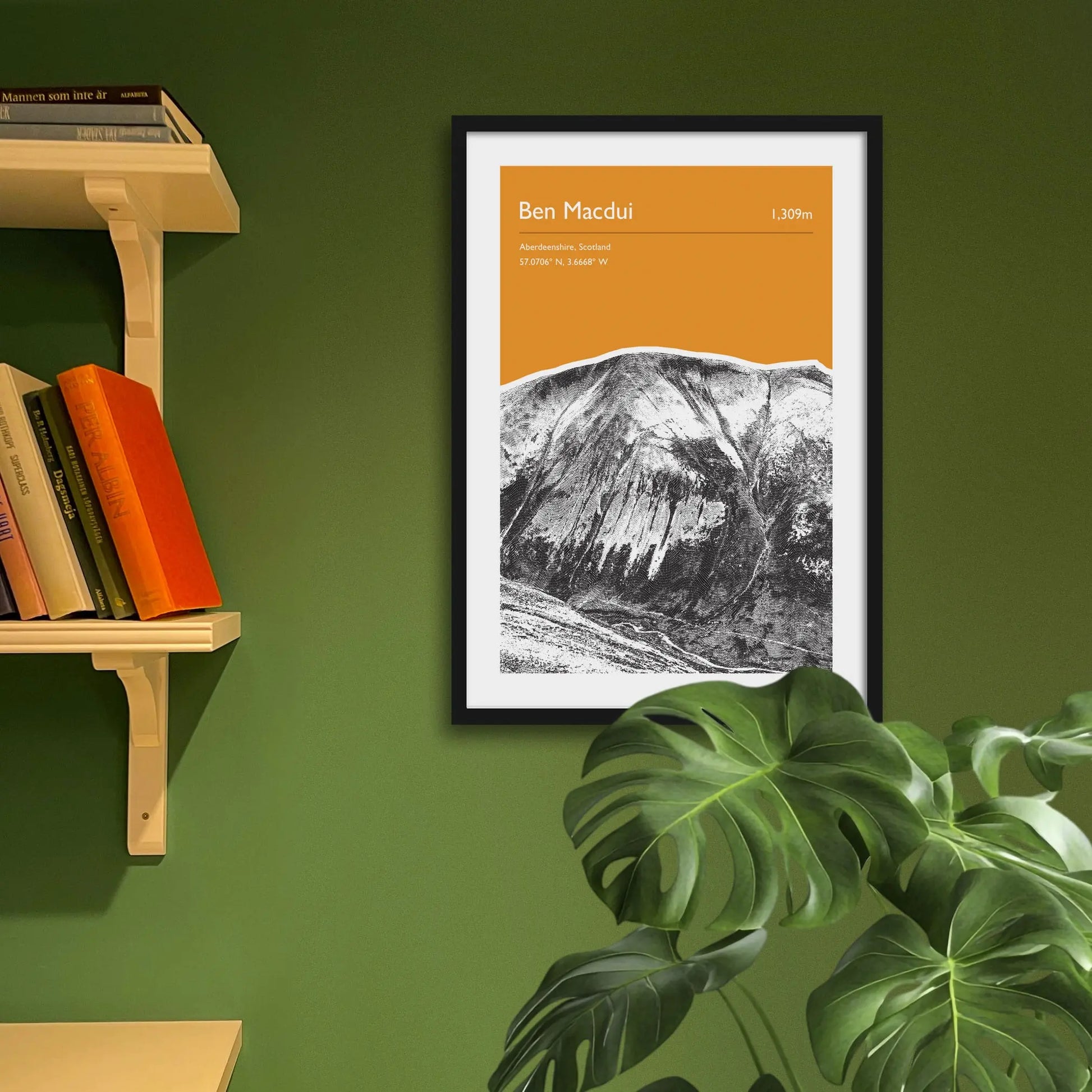 Framed art print on a green wall beside shelves.
