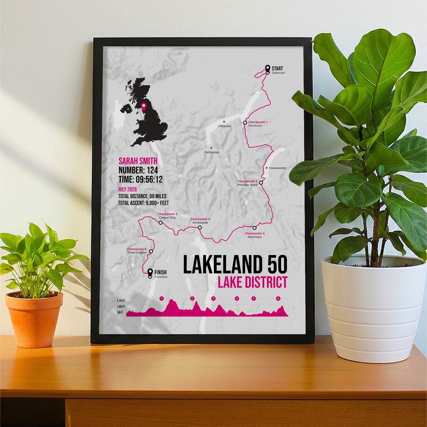Framed print propped up on sideboard beside a houseplant