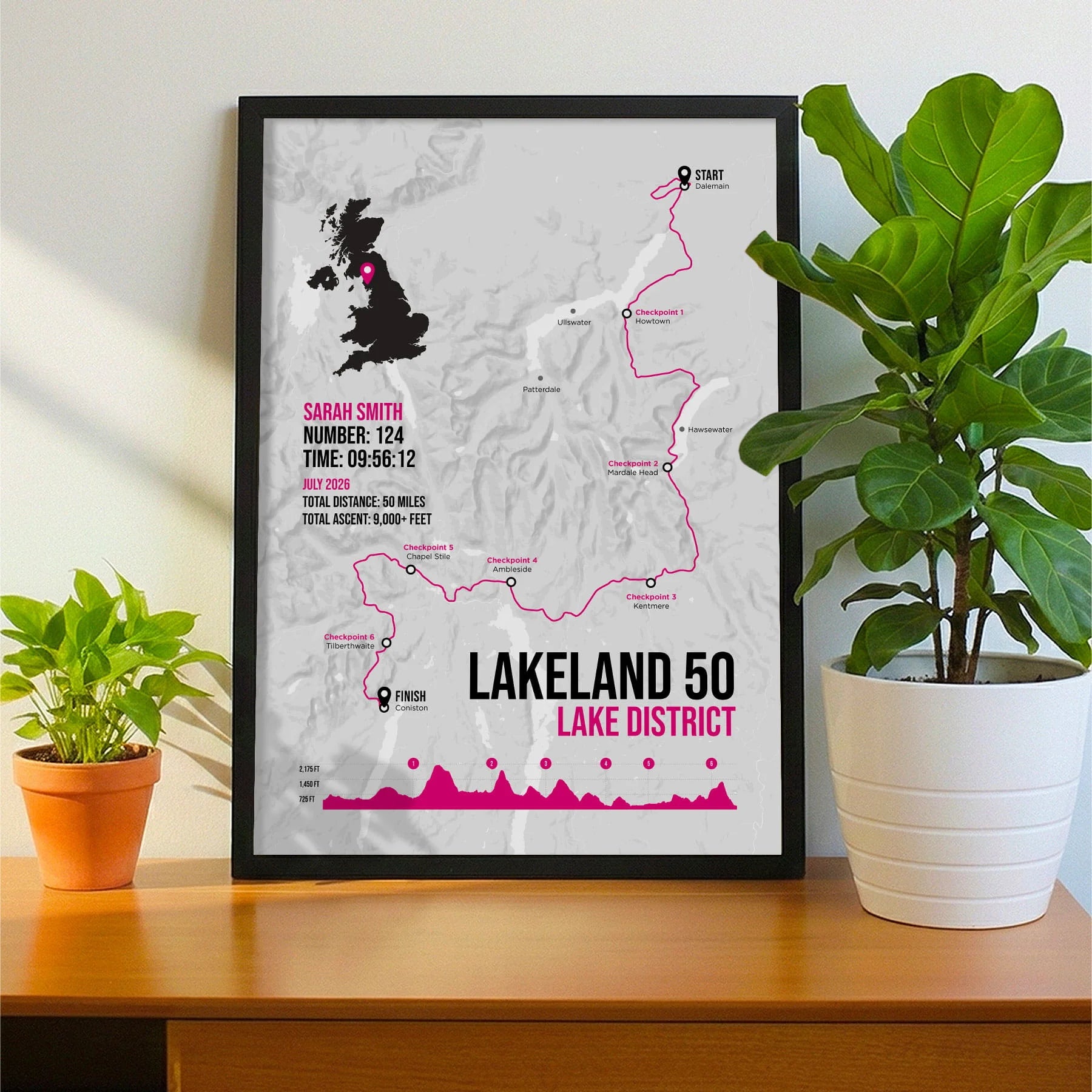 Framed print propped up on sideboard beside a houseplant