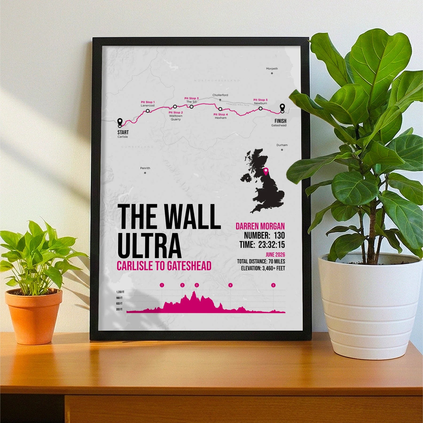 Framed print propped up on sideboard beside a houseplant