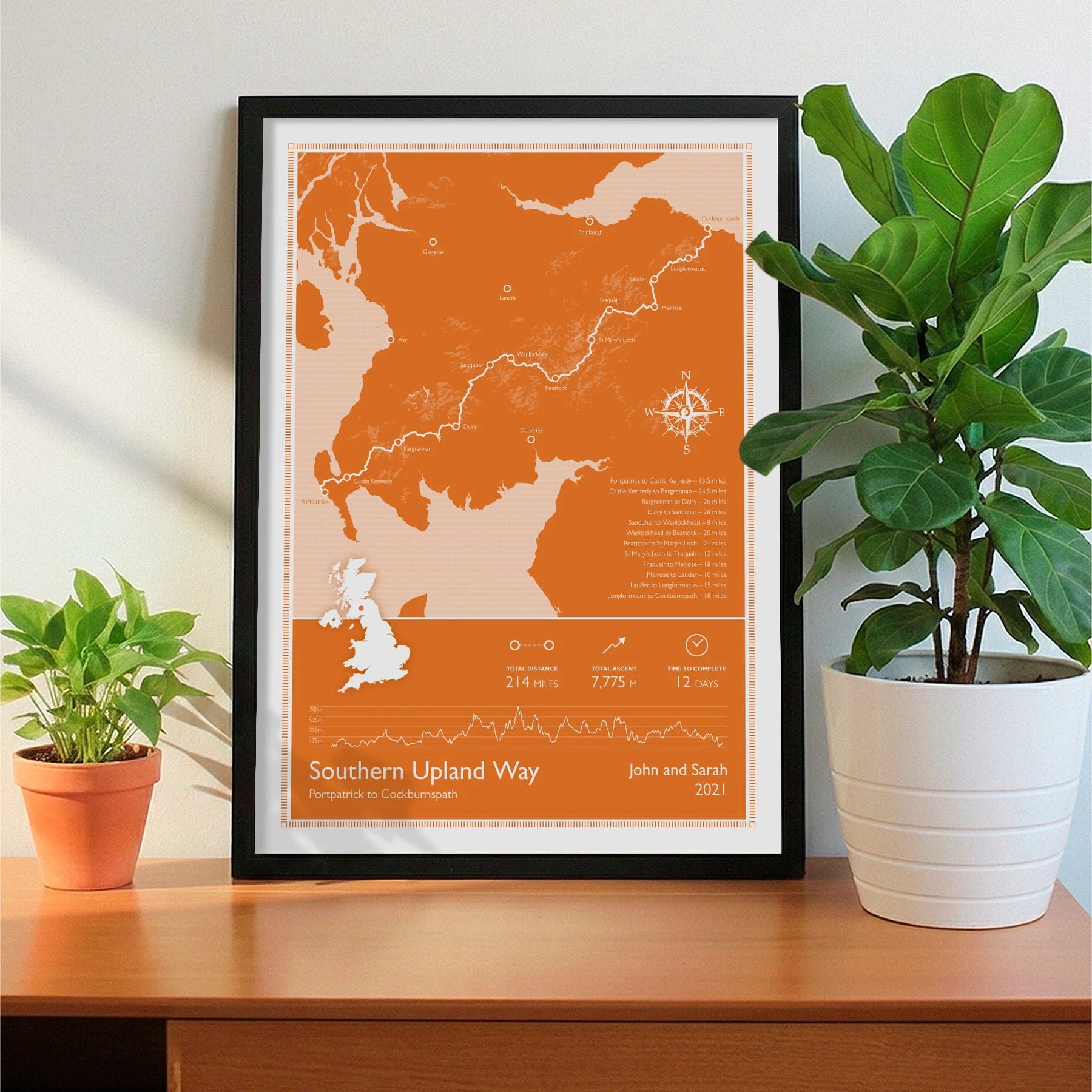 Framed print on sideboard beside a plant