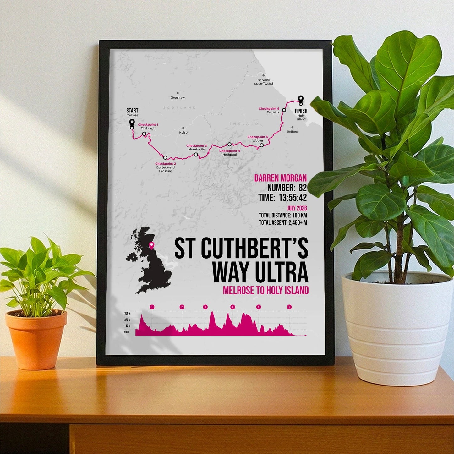 Framed print propped up on sideboard beside a houseplant