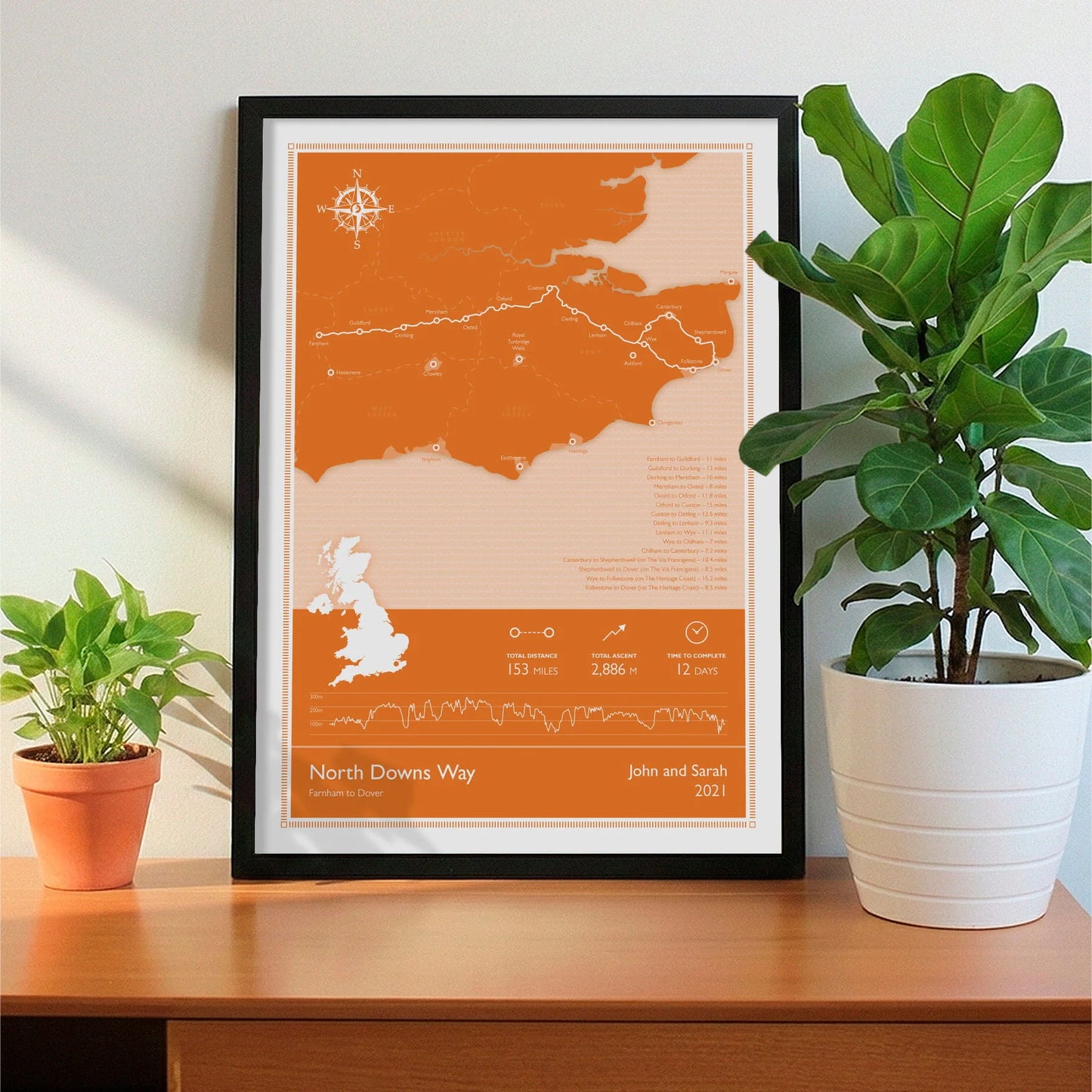 Framed print on sideboard beside a plant