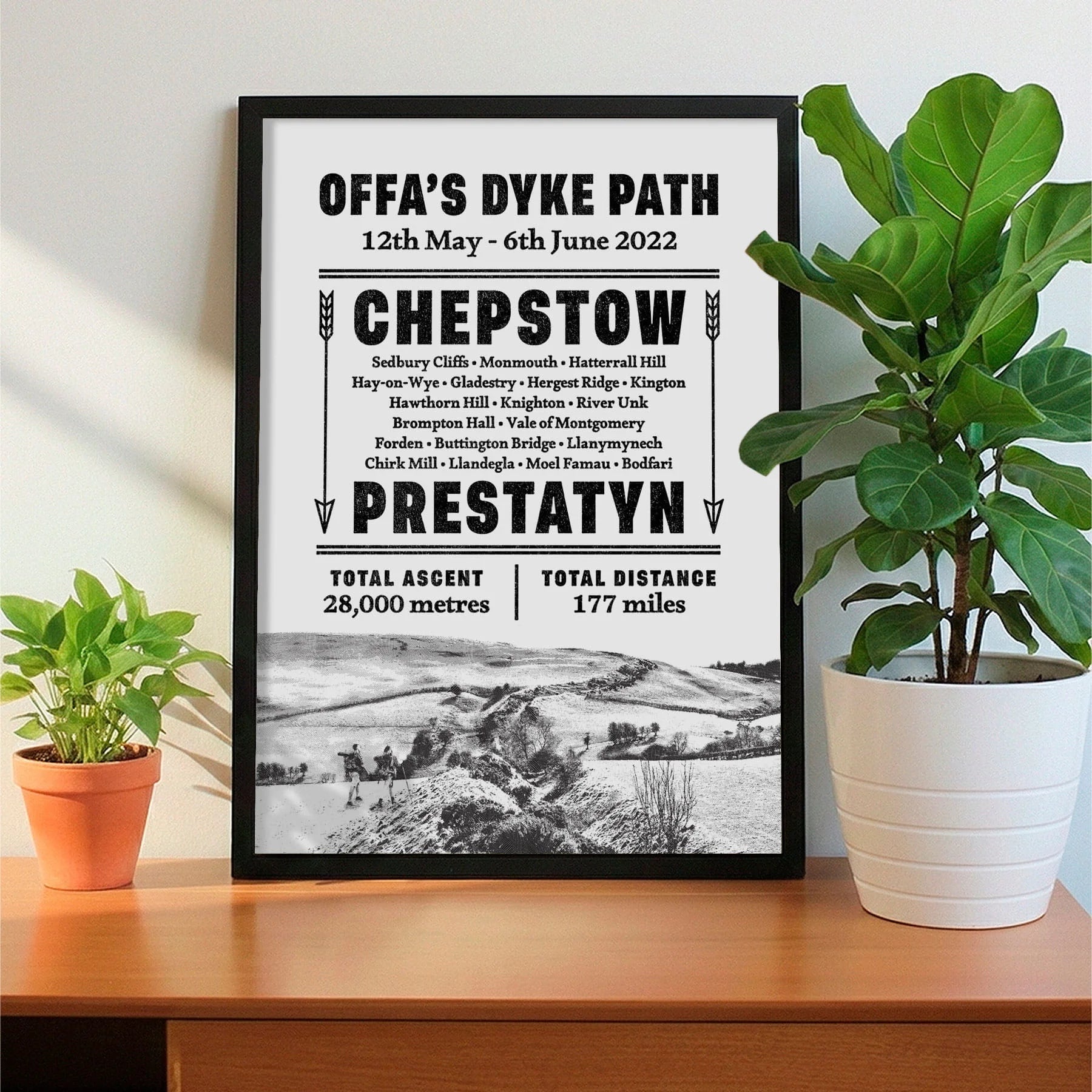 Framed print on sideboard beside a plant
