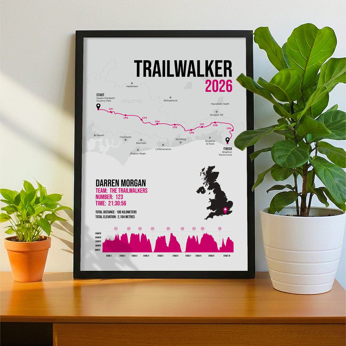 Framed print propped up on sideboard beside a houseplant