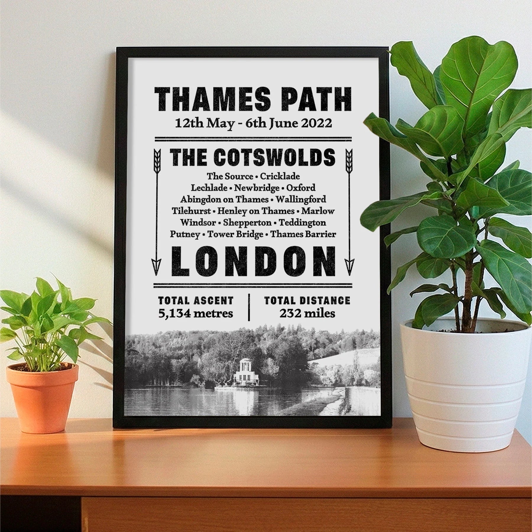 Framed print on sideboard beside a plant