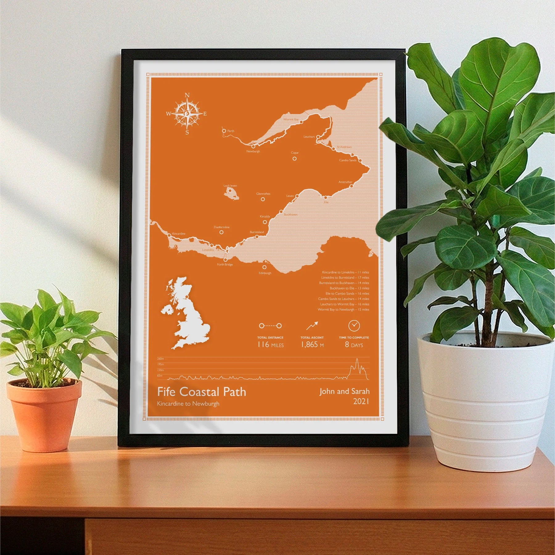 Framed print on sideboard beside a plant