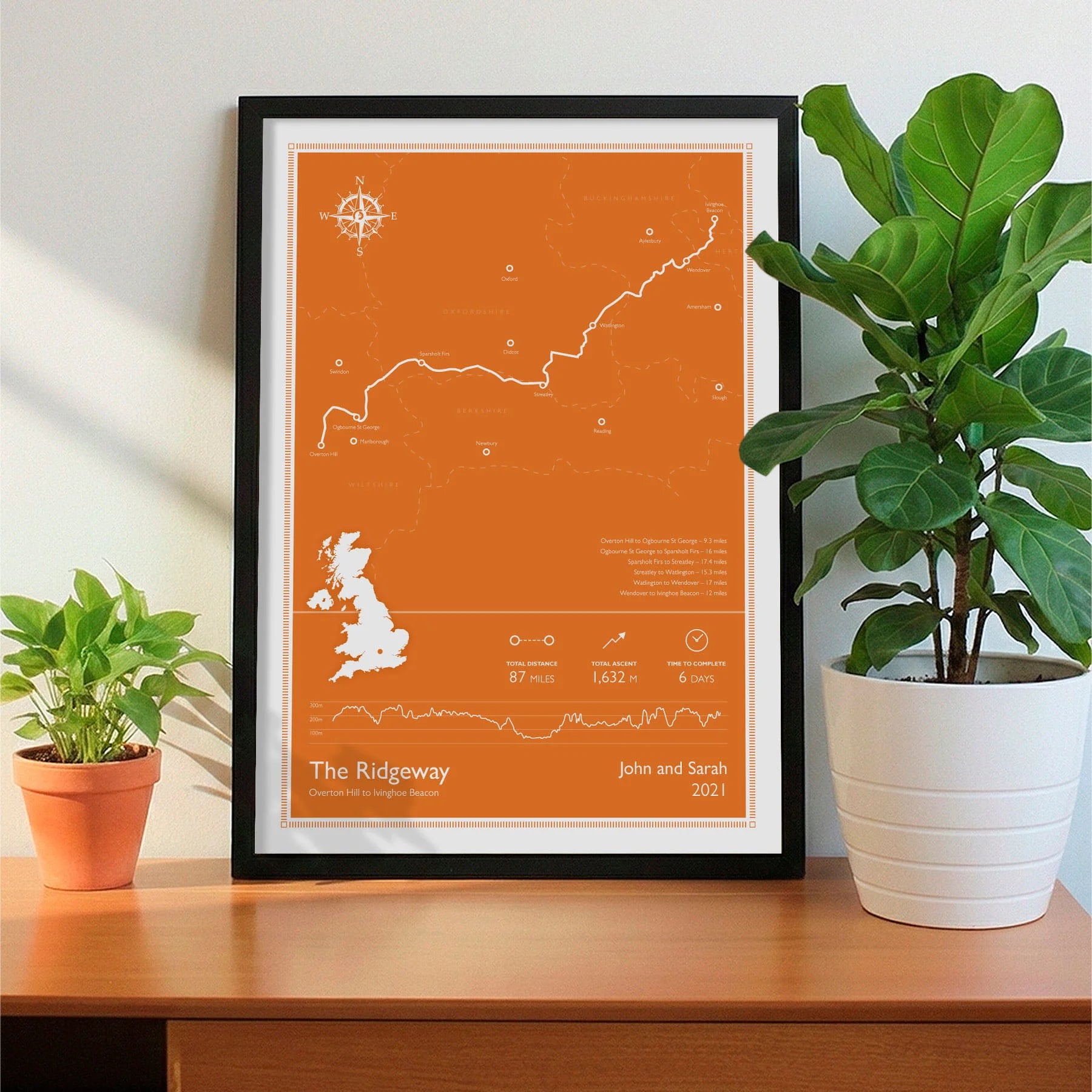 Framed print on sideboard beside a plant