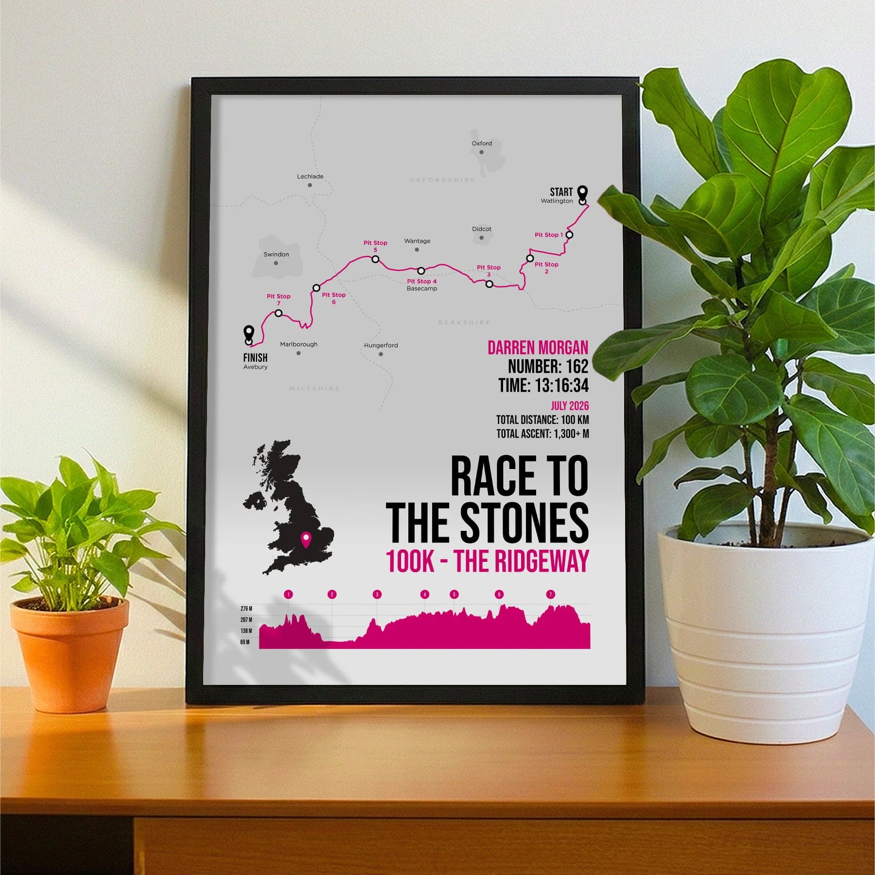 Framed print propped up on sideboard beside a houseplant