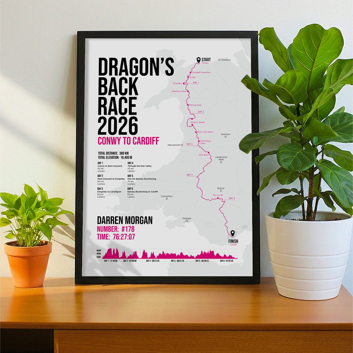 Framed print propped up on sideboard beside a houseplant