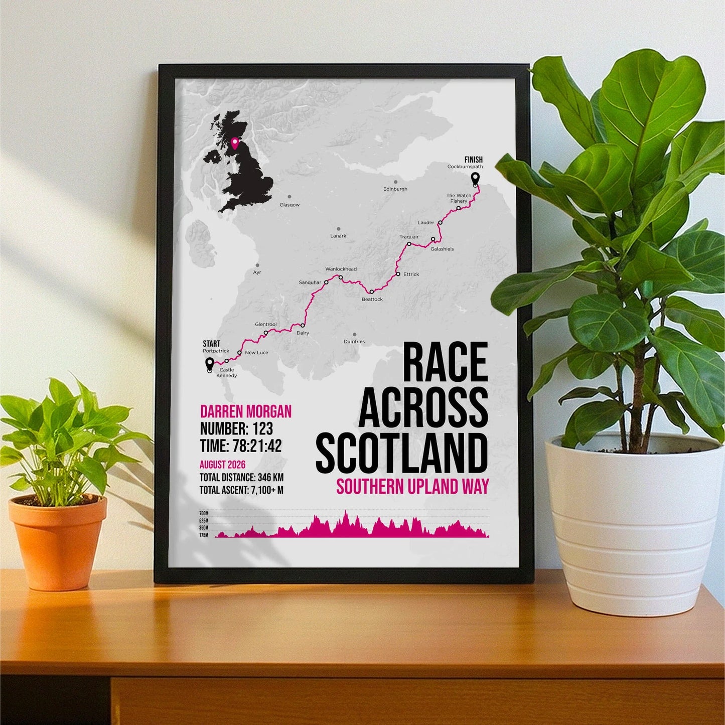 Race Across Scotland print on a sideboard in a frame beside houseplants