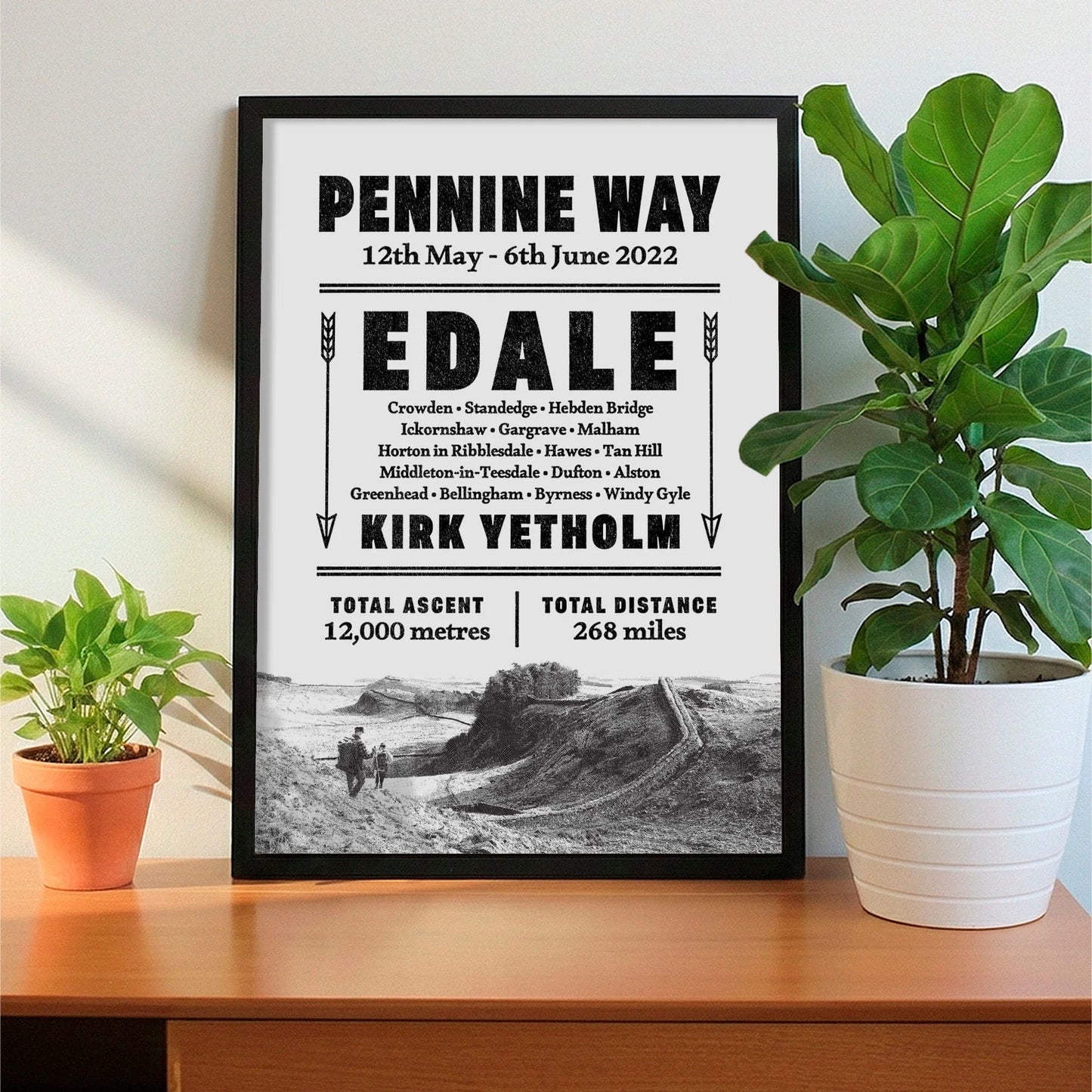 Framed print on sideboard beside a plant