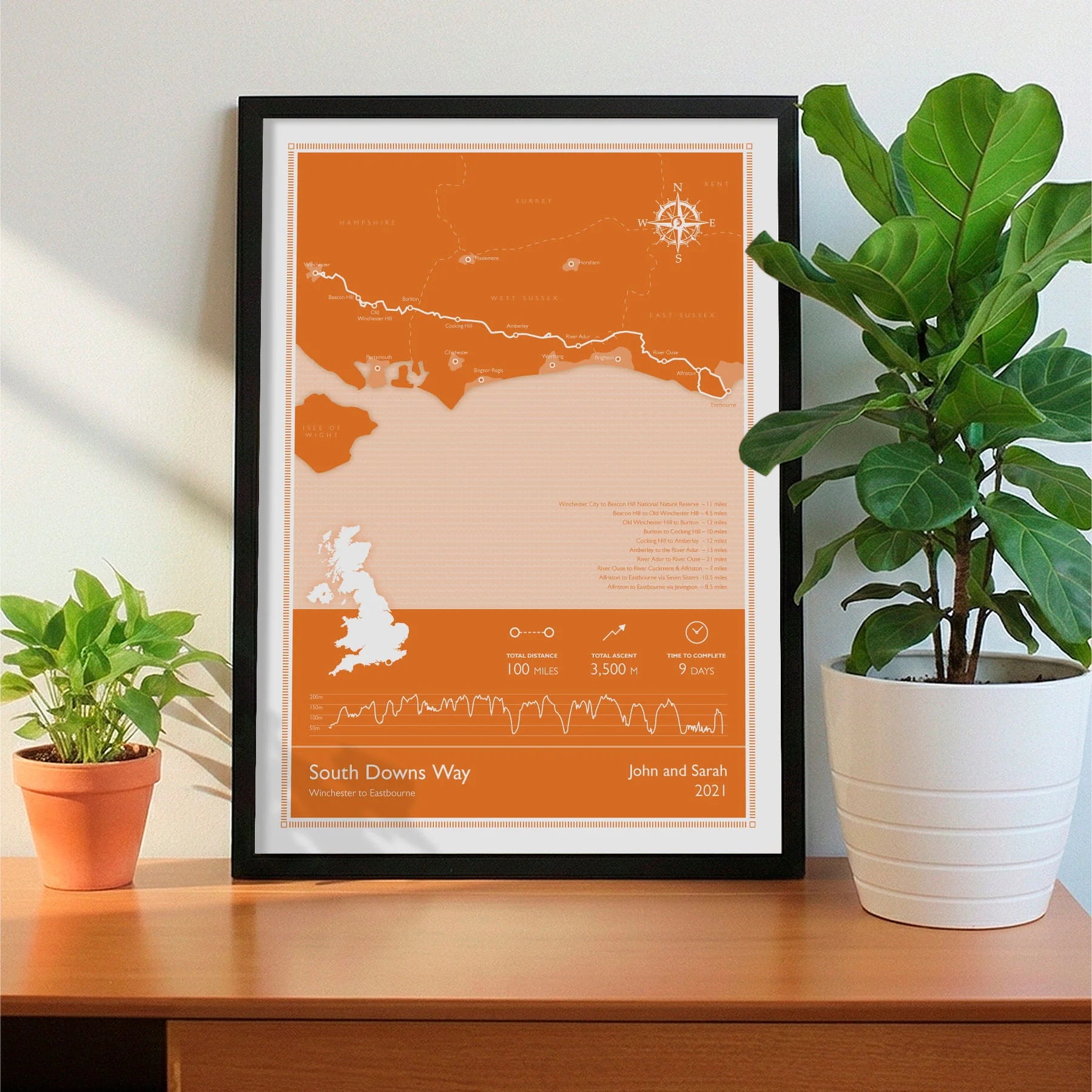 Framed print on sideboard beside a plant