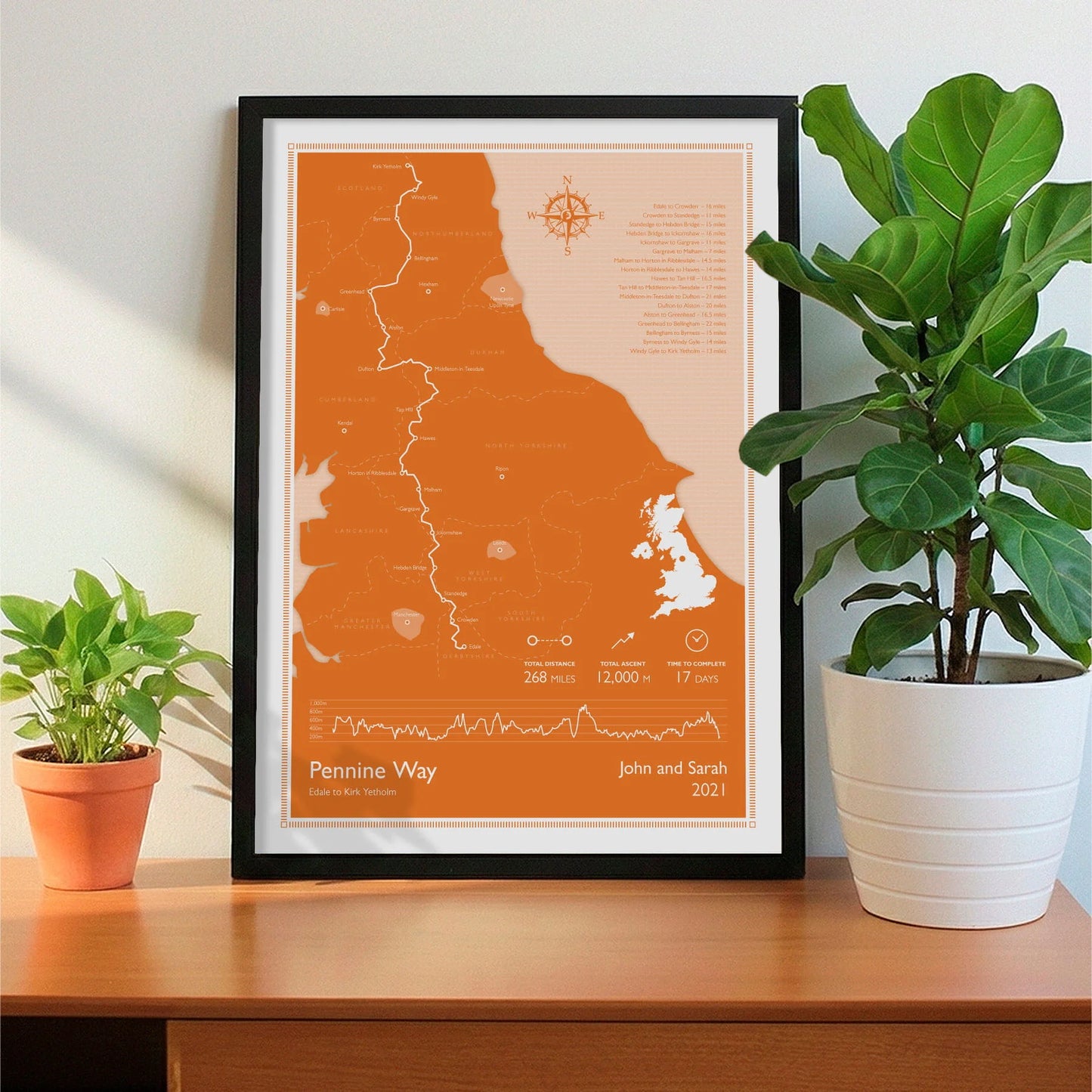 Framed print on sideboard beside a plant