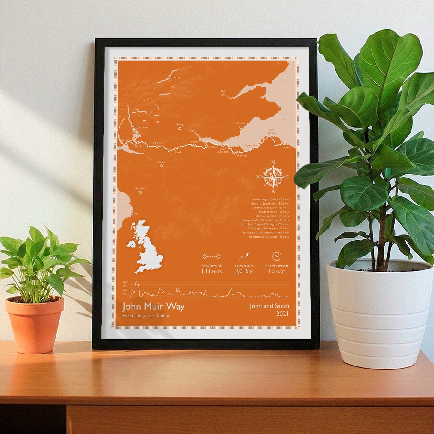 Framed print on sideboard beside a plant
