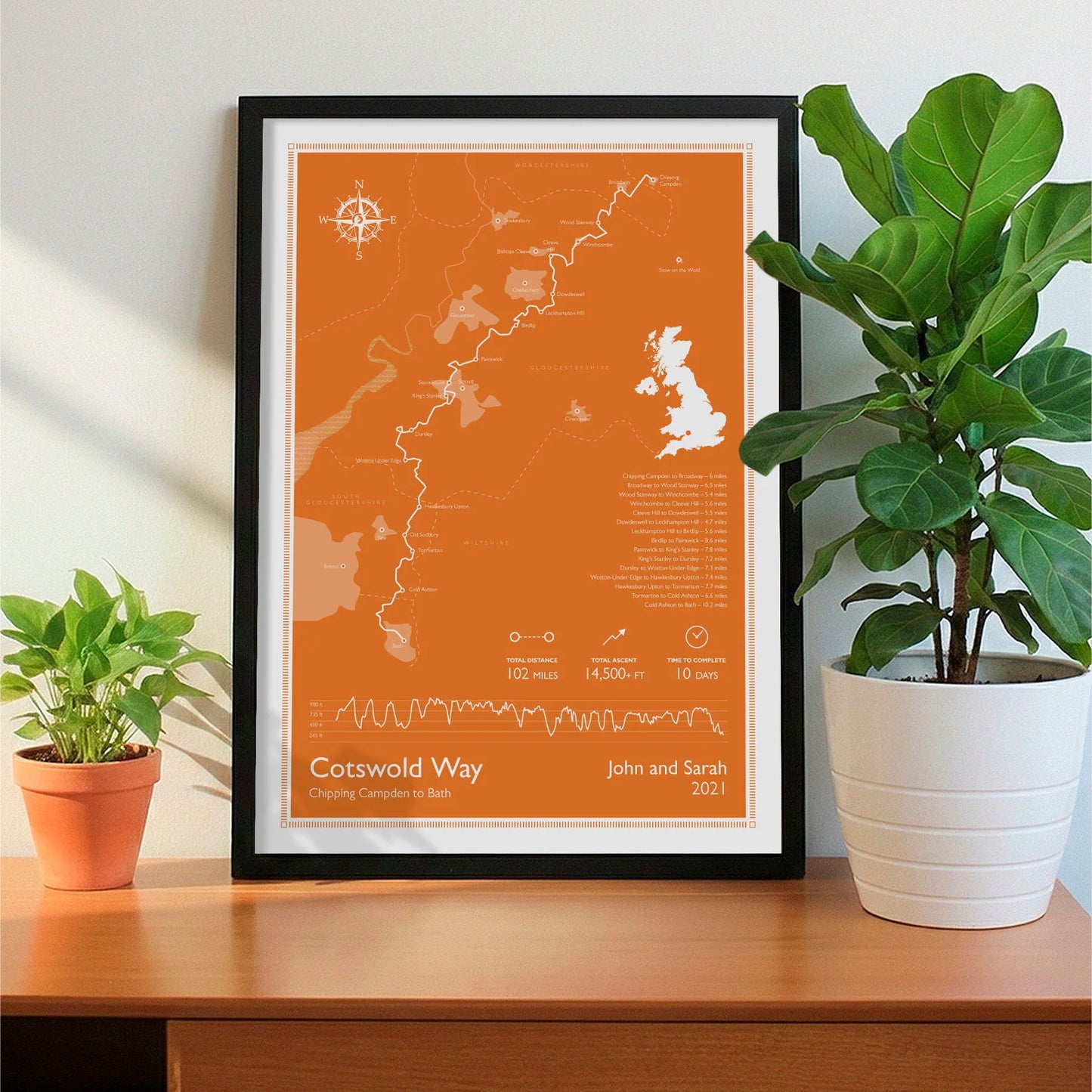 Framed print on sideboard beside a plant