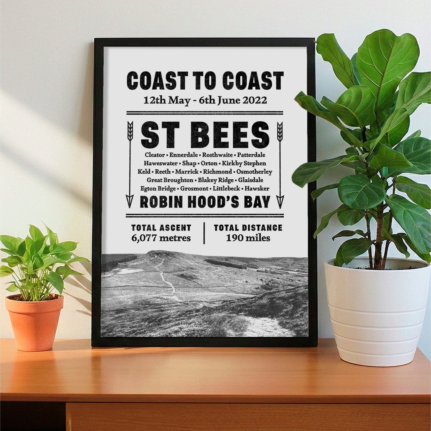 Framed print on sideboard beside a plant