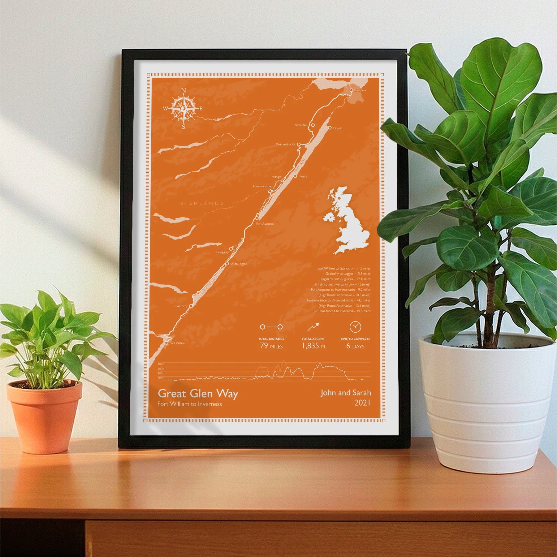 Framed print on sideboard beside a plant