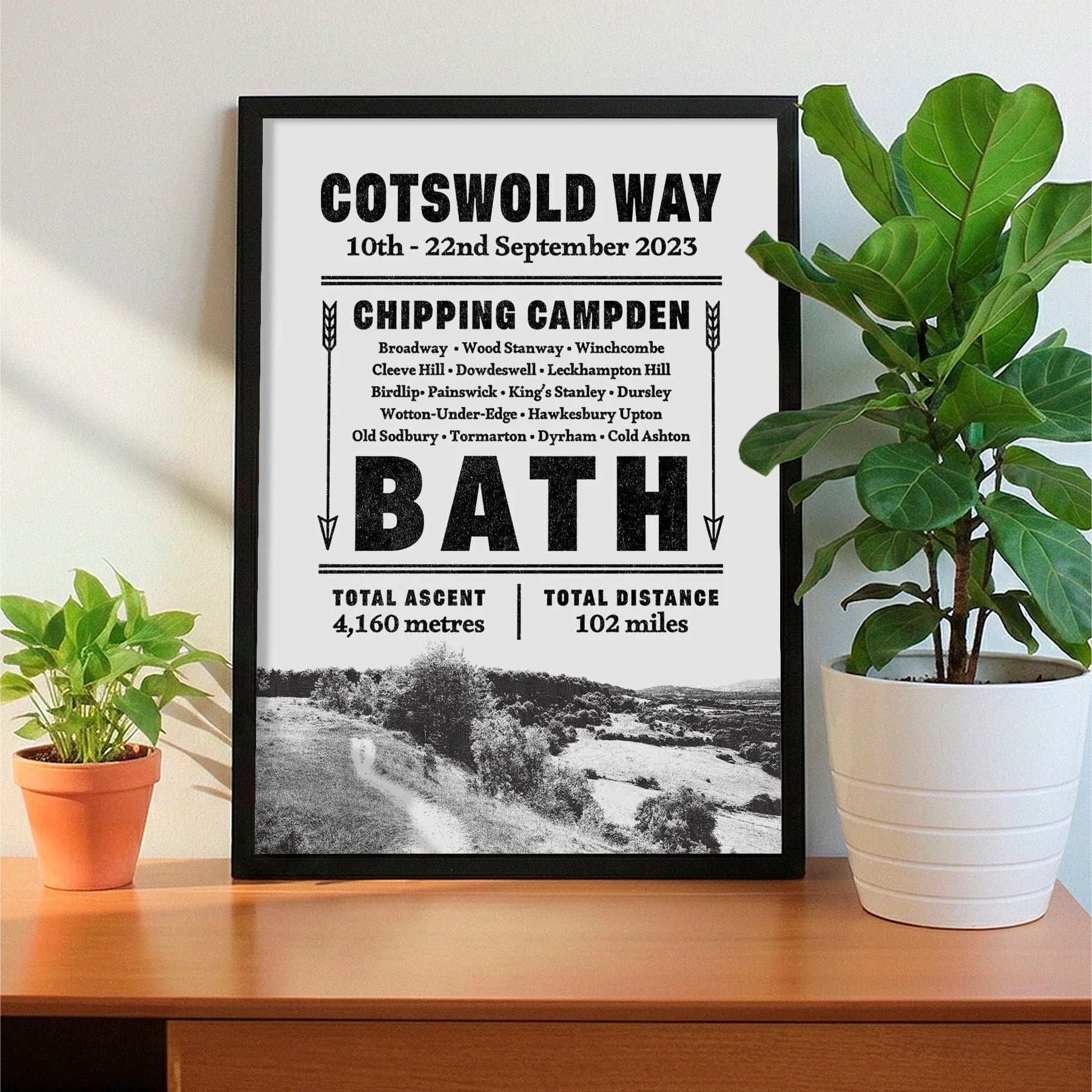 Framed print on sideboard beside a plant