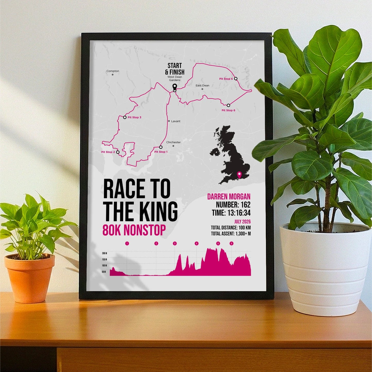 Framed print propped up on sideboard beside a houseplant