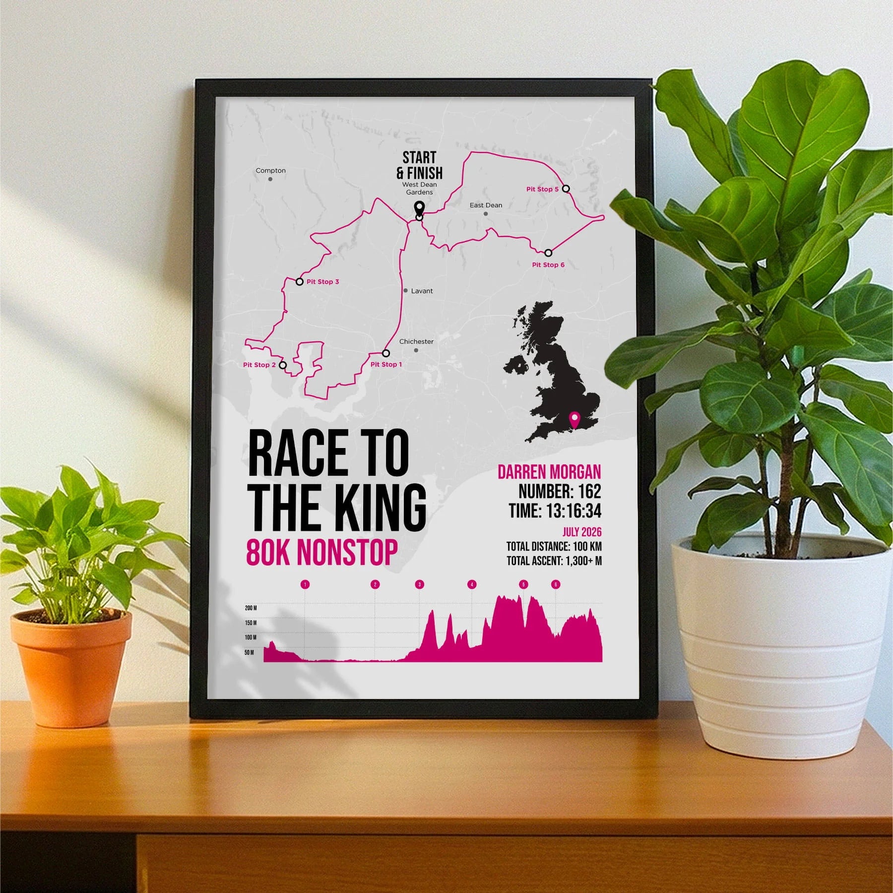 Framed print propped up on sideboard beside a houseplant