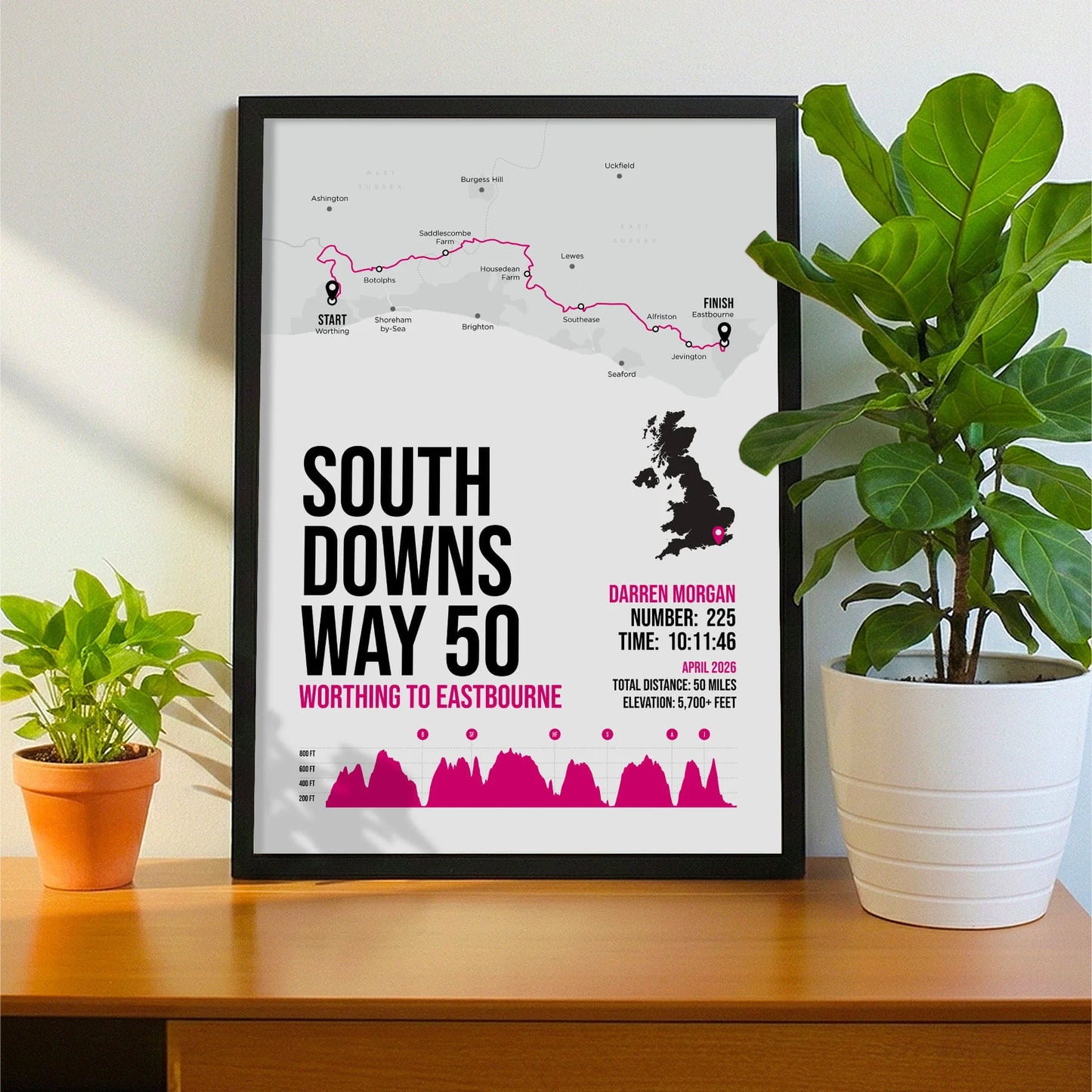 Framed print propped up on sideboard beside a houseplant