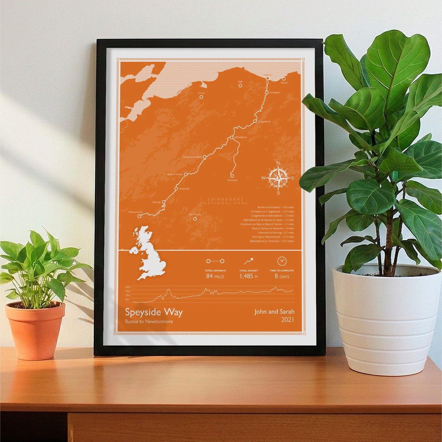Framed print on sideboard beside a plant