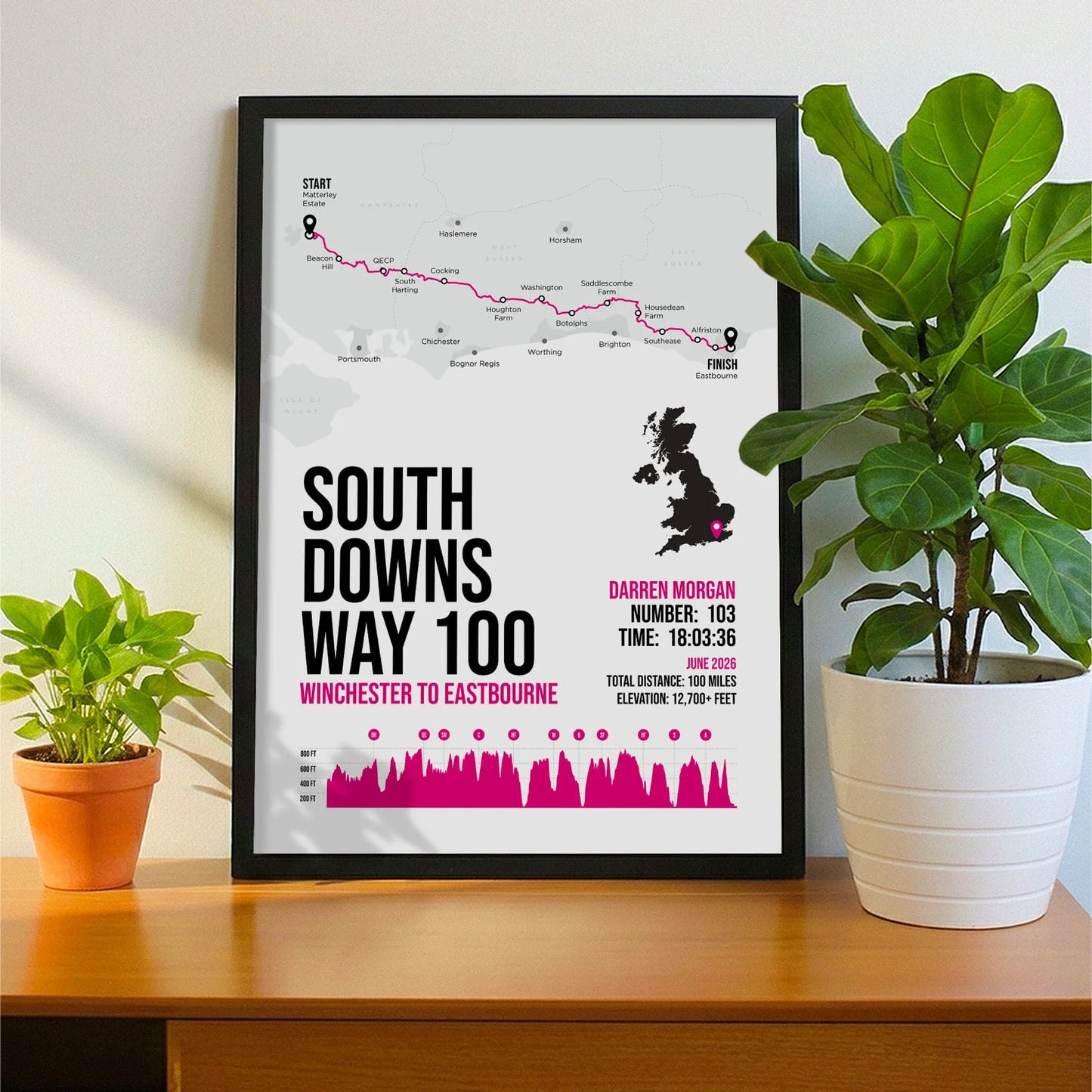 Framed print propped up on sideboard beside a houseplant