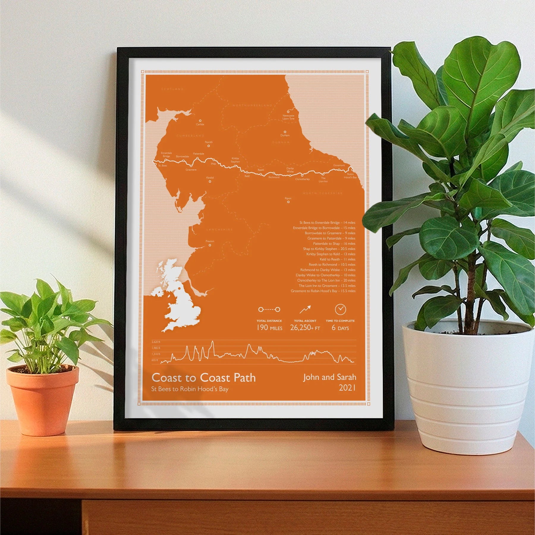 Framed print on sideboard beside a plant