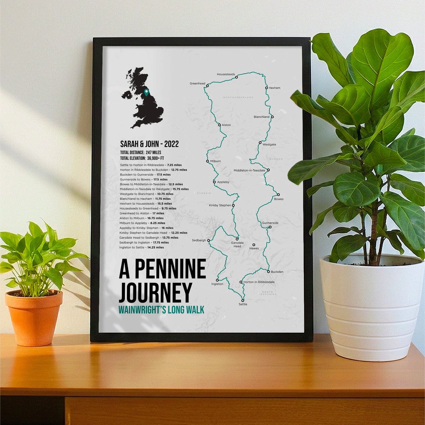 Framed print propped up on sideboard beside a houseplant