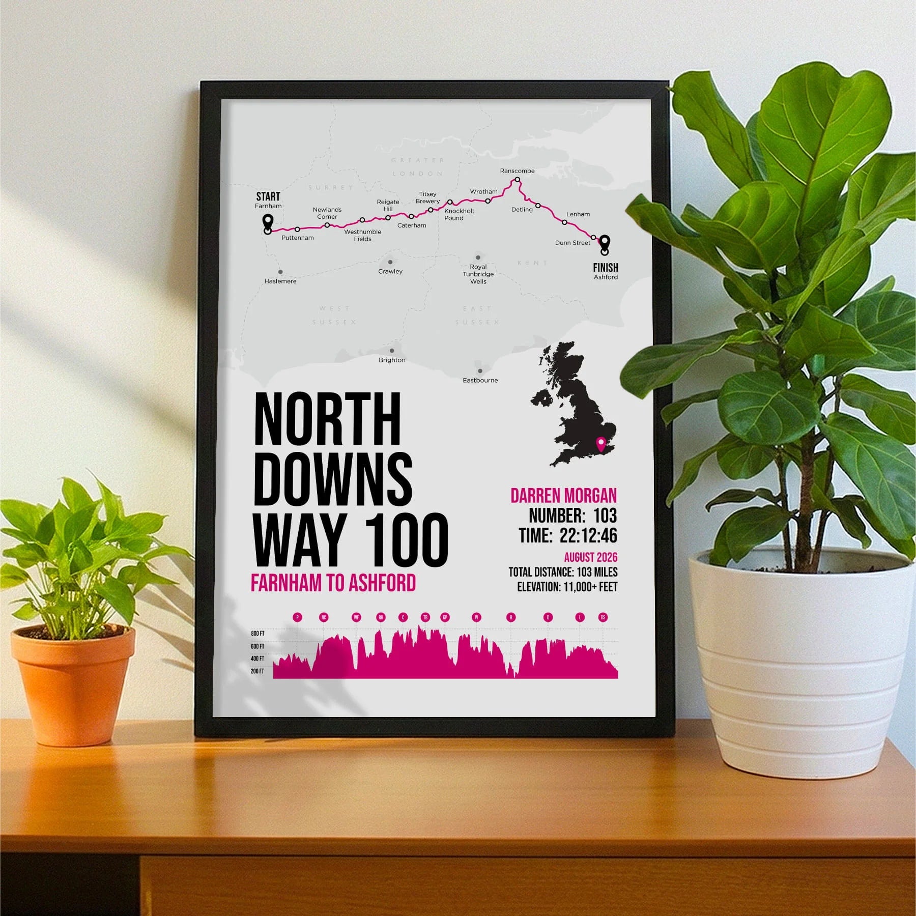Framed print propped up on sideboard beside a houseplant