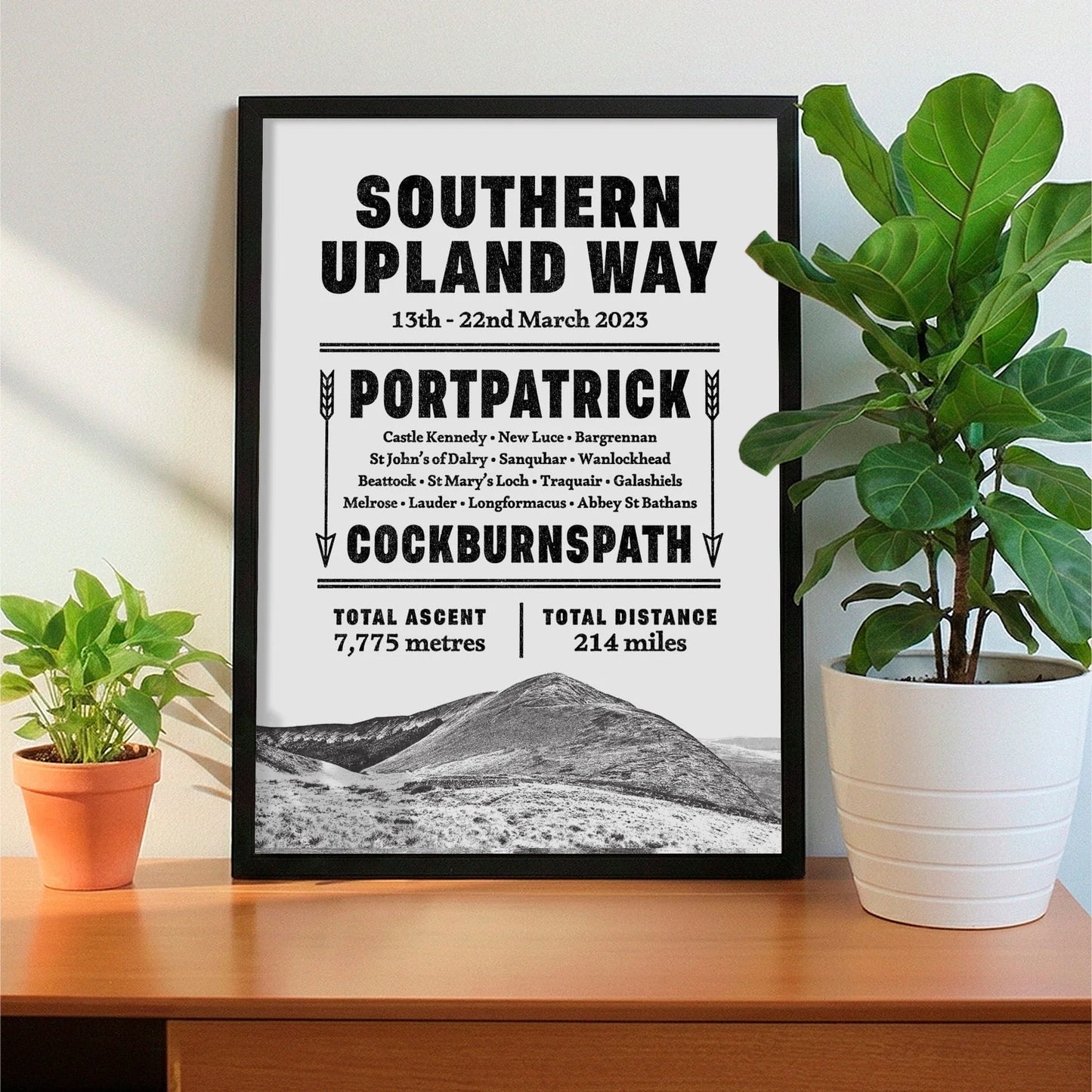Framed print on sideboard beside a plant