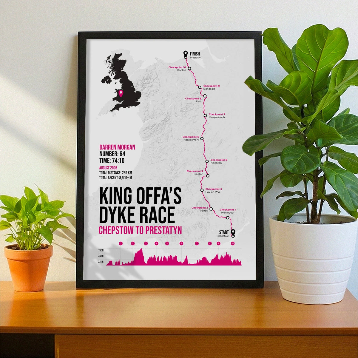 Framed print propped up on sideboard beside a houseplant