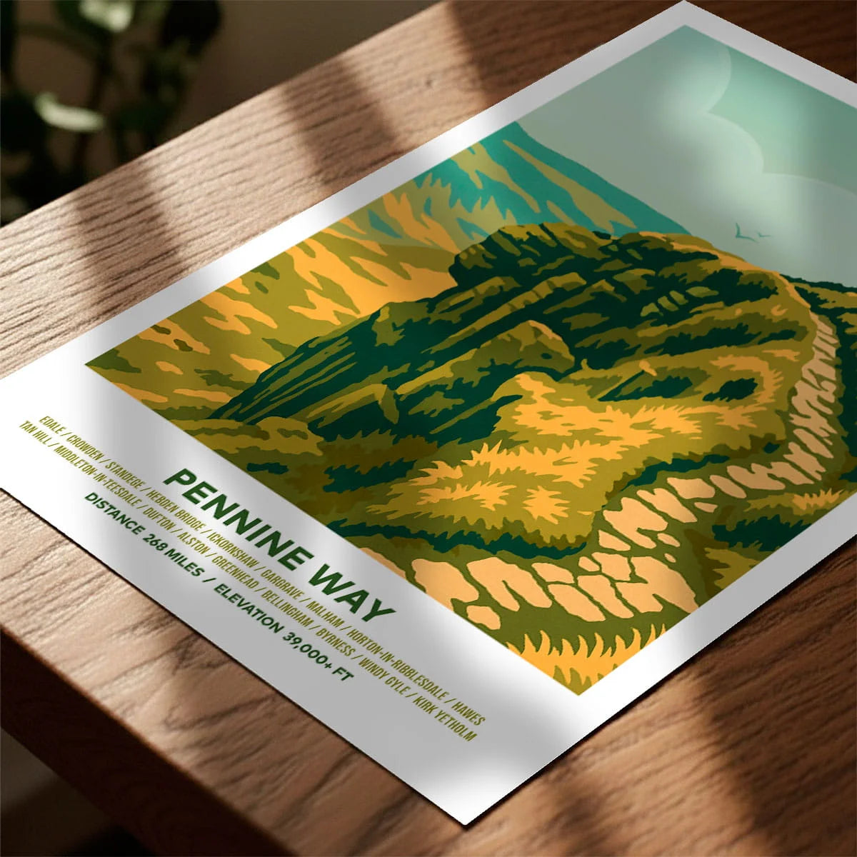 Print laying on table with speckled shade cast across the surface