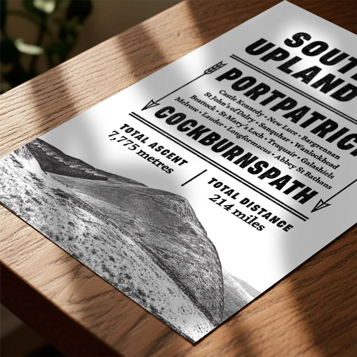Print laying on table with speckled shade cast across the surface