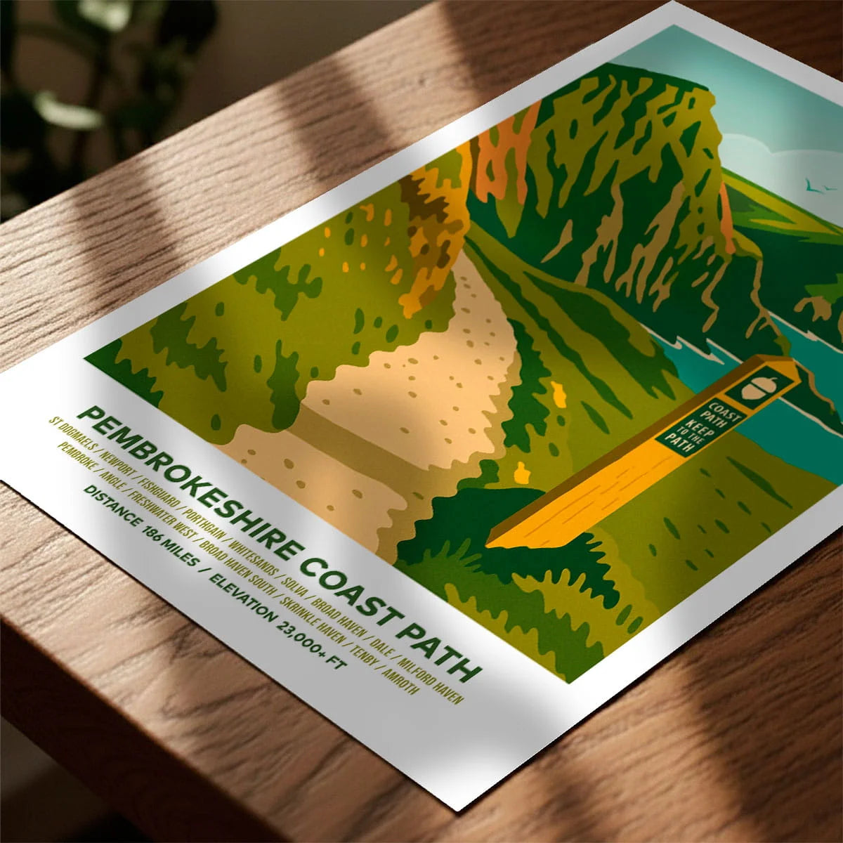 Print laying on table with speckled shade cast across the surface