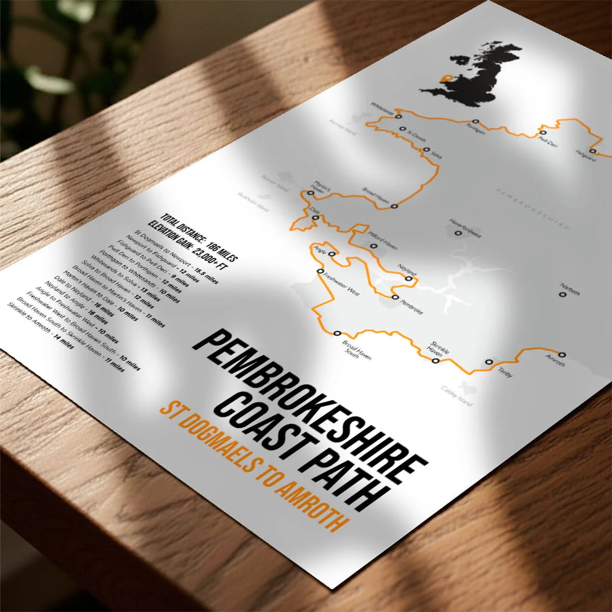 Print laying on table with speckled shade cast across the surface