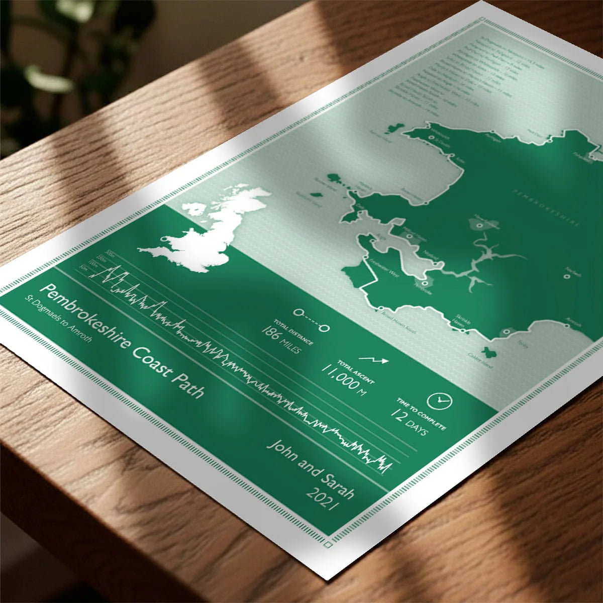 Print laying on table with speckled shade cast across the surface