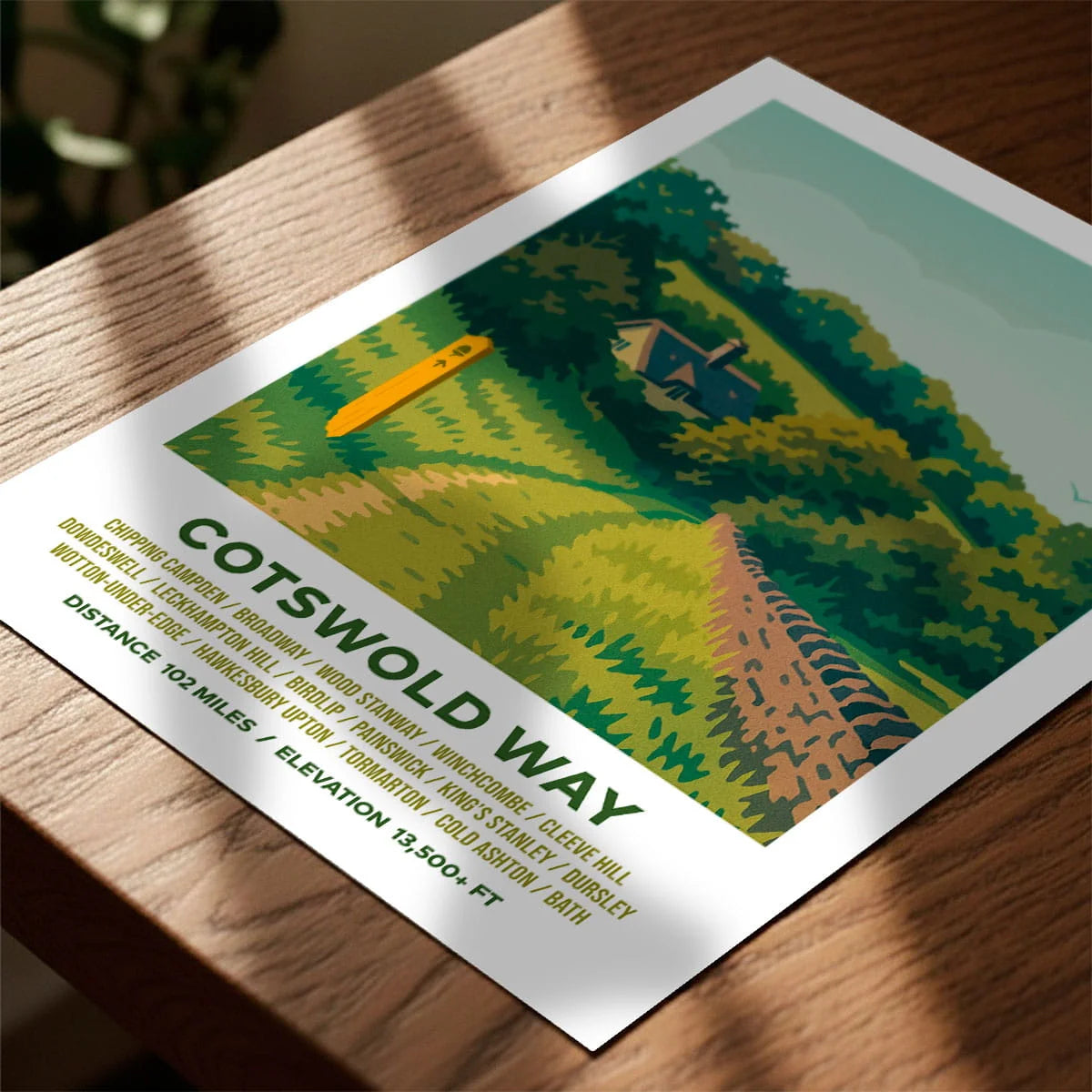 Print laying on table with speckled shade cast across the surface