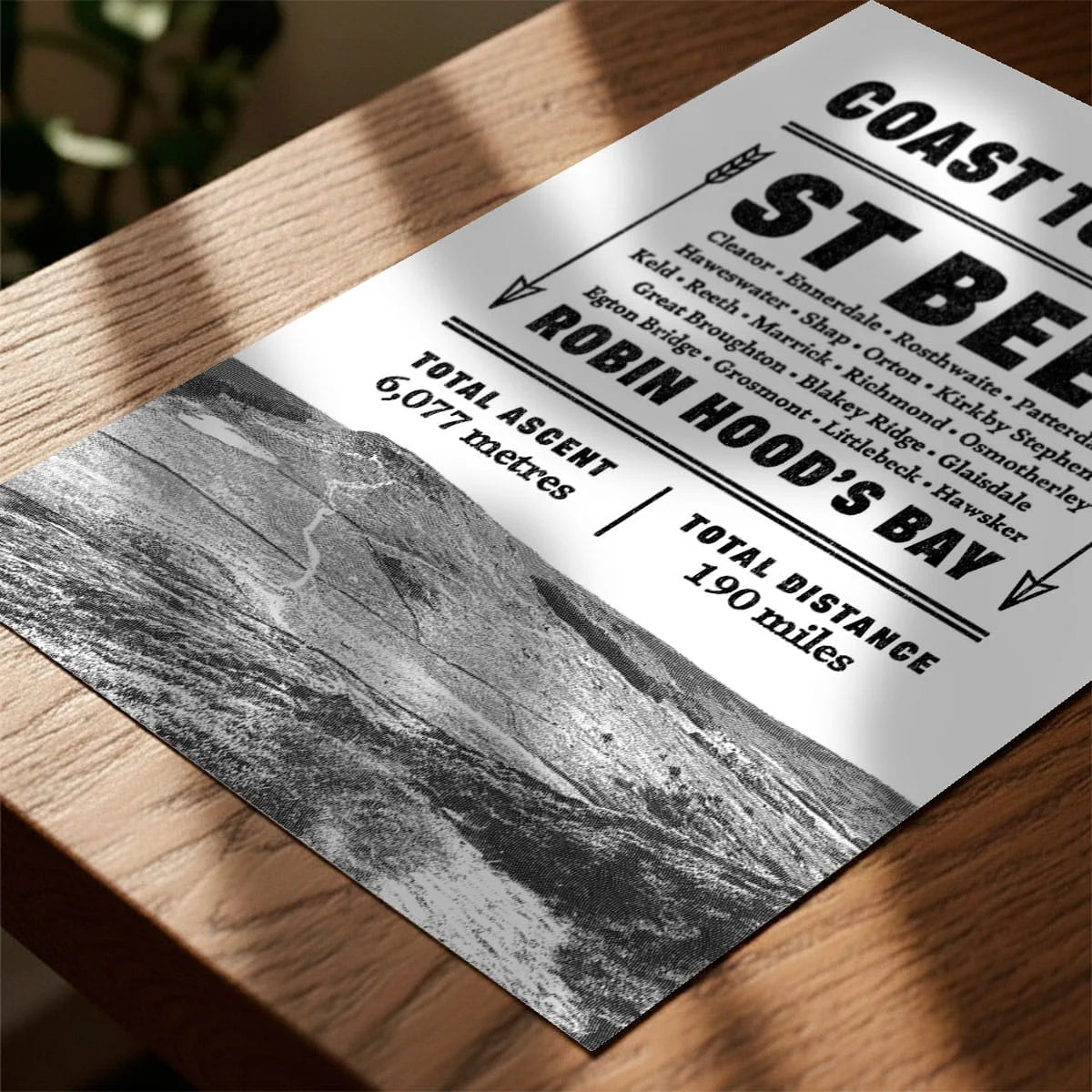 Print laying on table with speckled shade cast across the surface
